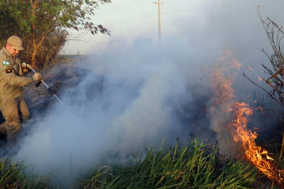 MT decreta emergência ambiental para intensificar combate aos incêndios florestais • Portal DBO