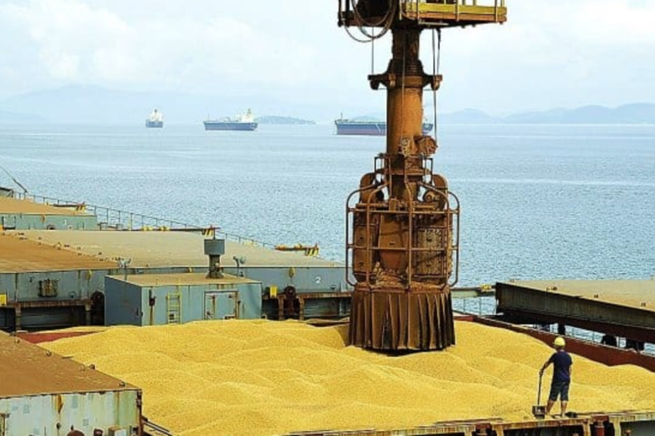 exportação brasileira do complexo soja pode bater recorde em 2023 • Portal DBO