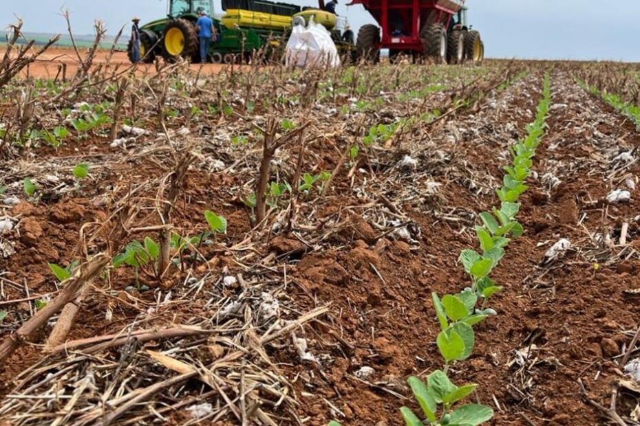 falta de chuva no Centro-Oeste pode causar prejuízos