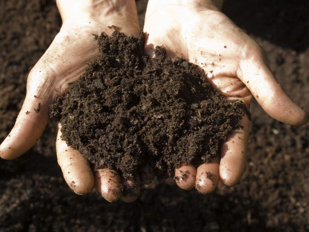Índice de qualidade microbiológica do solo: principais indicadores