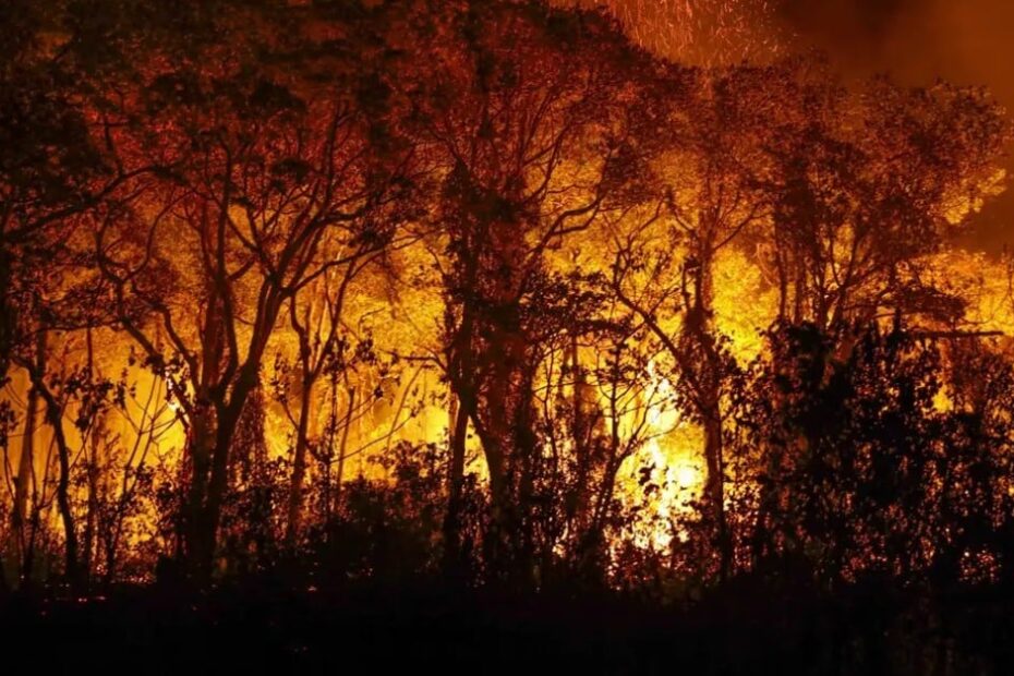 Pantanal tem mais de 3 mil incêndios em novembro