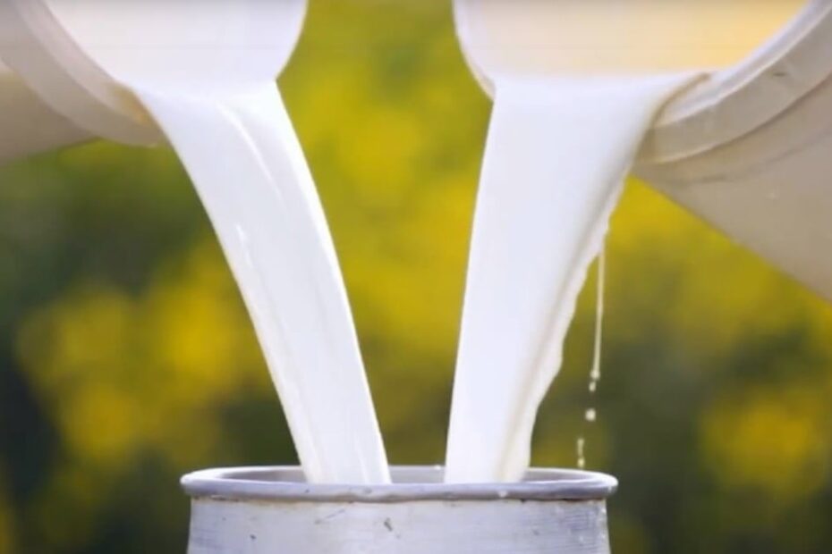 Preço ao produtor do leite continua em 'queda livre', aponta Cepea