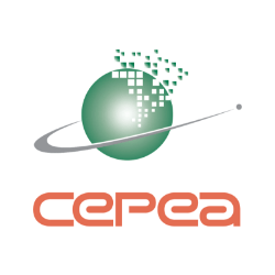 CAFÉ/CEPEA: Liquidez envolvendo arábica cresce em outubro - Centro de Estudos Avançados em Economia Aplicada