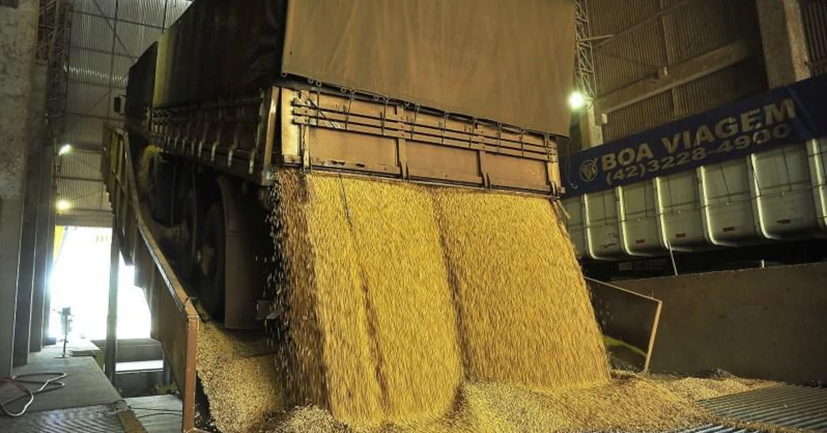 "A maioria dos produtores não tem estrutura para grãos" 10 61% dos produtores não têm estruturas para guardar grãos • Portal DBO