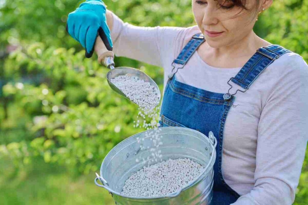 Adubação com potássio: passo a passo 3 Logo-Portal-Agriconline-22