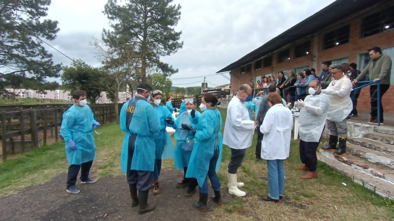 Países da América do Sul se unem no controle da raiva herbívora