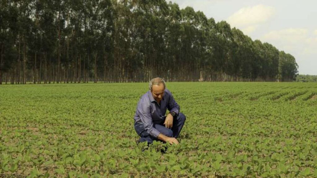 Aumento da produtividade: técnicas sustentáveis na agricultura 8 Agricultores veem produção aumentar com uso de técnicas sustentáveis