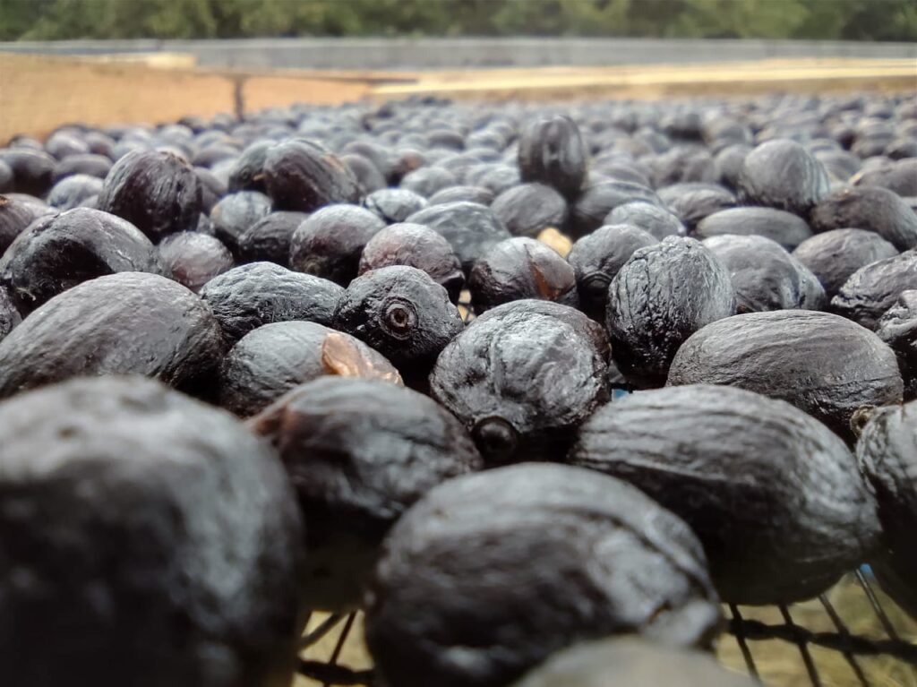 Café: 7 dicas para produto de qualidade 44 como ter qualidade e agregar valor ao produto