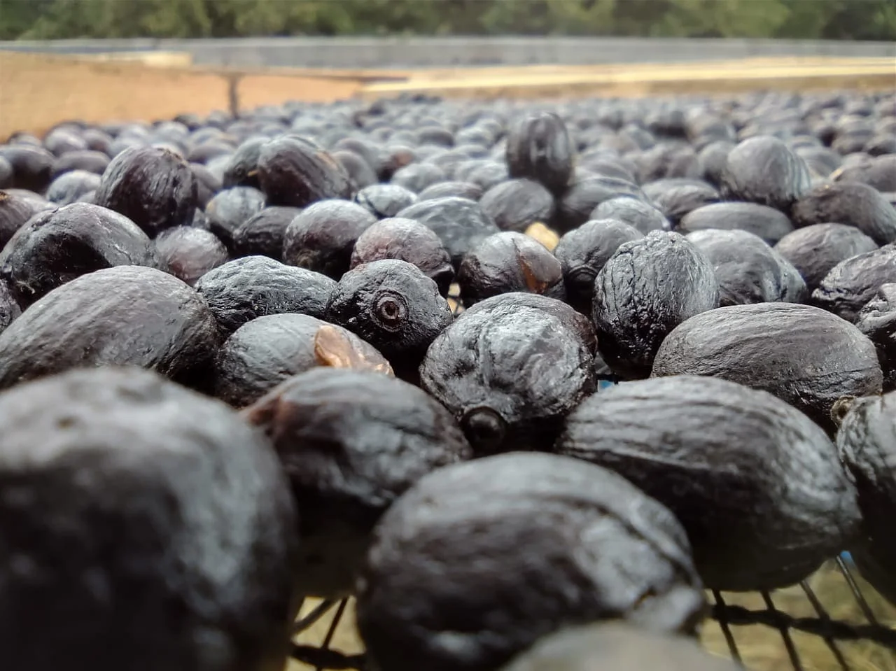 Café: 7 dicas para produto de qualidade 19 como ter qualidade e agregar valor ao produto