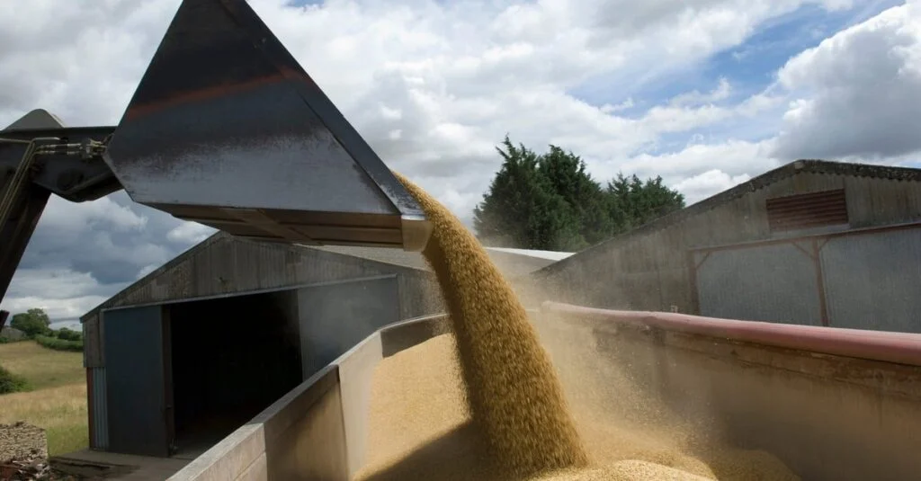 câmbio e feriado travam negócios no Brasil