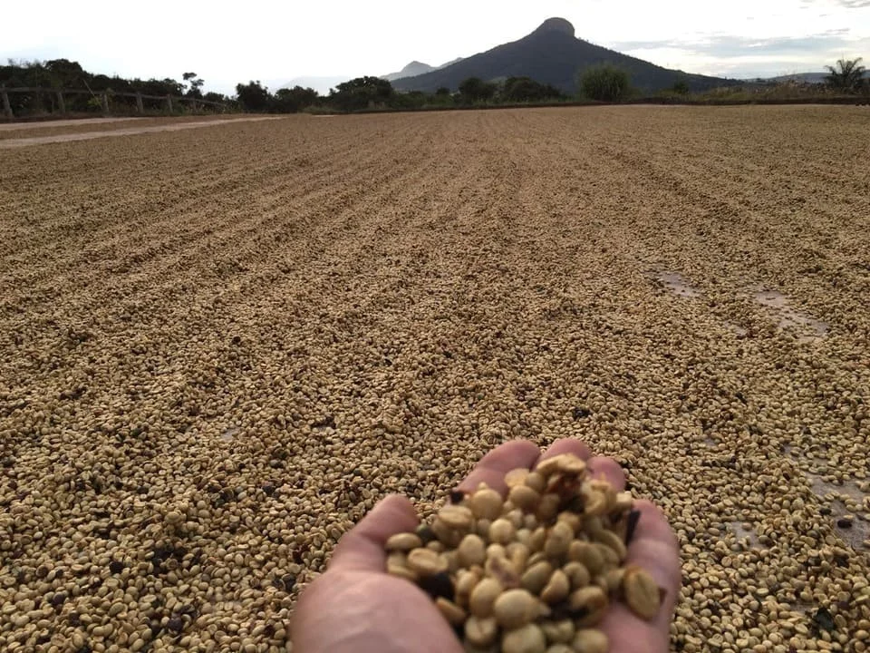 Como ocorre esse processo? 2 como é feito esse processo?
