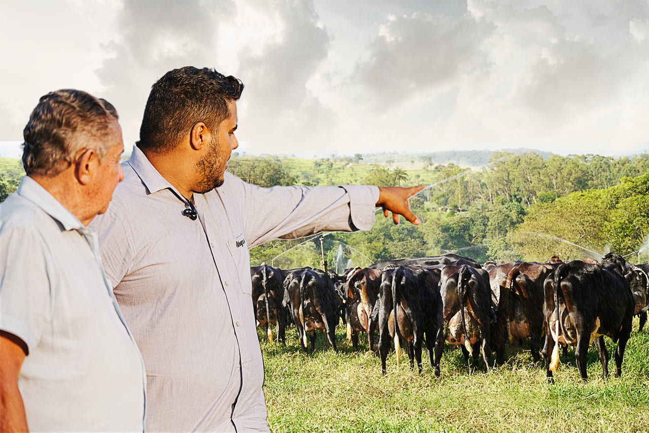 Desafios na sucessão familiar na pecuária leiteira 23 Desafios na sucessão familiar na pecuária leiteira