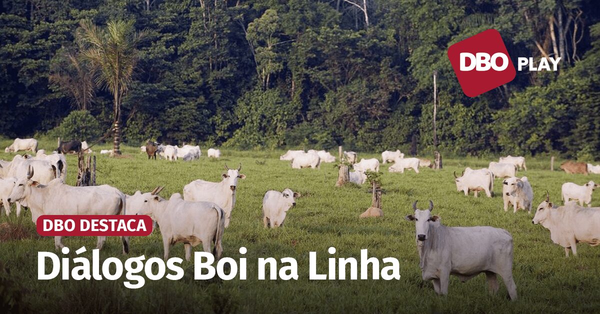 Desenvolvimento sustentável na Amazônia Legal: desafios e demandas da pecuária 19 Quais são os desafios e as demandas para o desenvolvimento sustentável da pecuária na Amazônia Legal? • Portal DBO