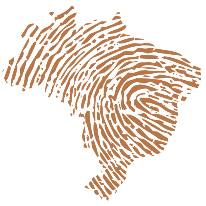 Desmatadores da Amazônia: revelações do BNDES