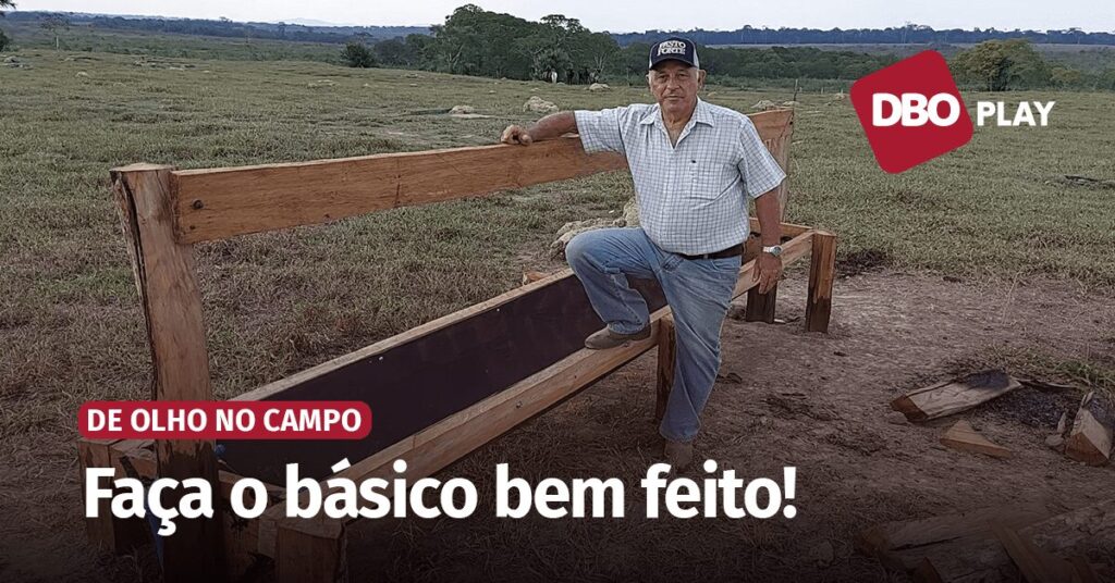 Economia com Bebedouro eficiente 8 Bebedouro eficiente e barato para o gado • Portal DBO