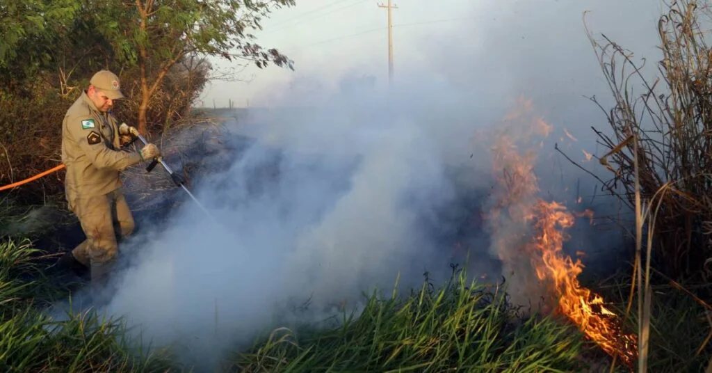 Emergência Ambiental: MT intensifica combate aos incêndios florestais 2 MT decreta emergência ambiental para intensificar combate aos incêndios florestais • Portal DBO