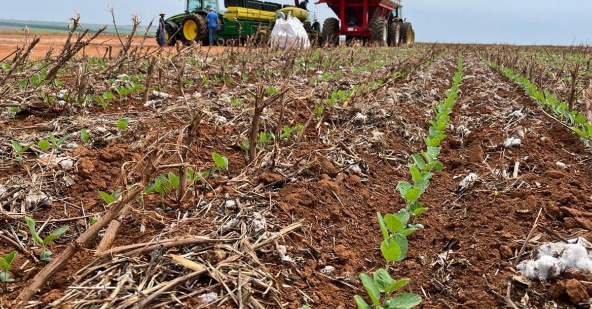falta de chuva no Centro-Oeste pode causar prejuízos