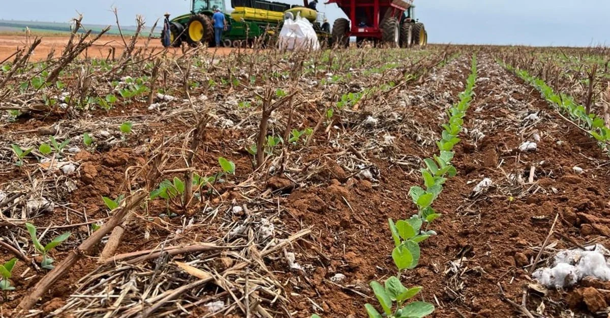 falta de chuva no Centro-Oeste pode causar prejuízos