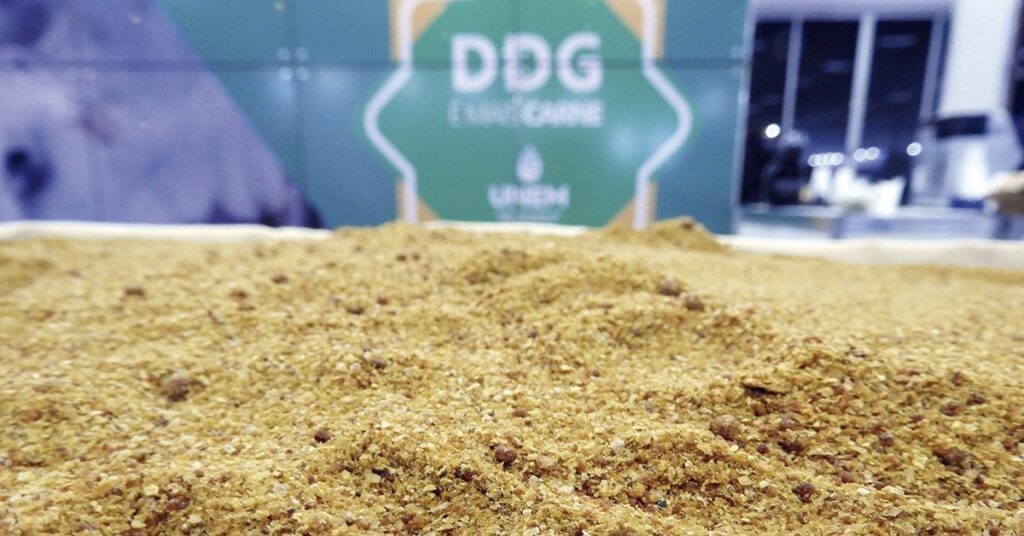Vietnã, Tailândia, Turquia e Nova Zelândia abrem mercados para exportação de farelo de milho do Brasil • Portal DBO