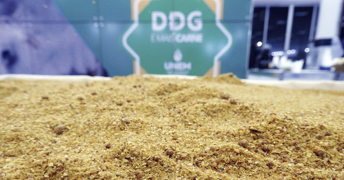 farelo de milho – Brasil conquista mercados globais