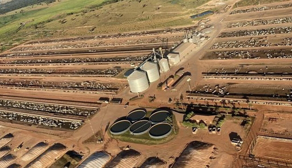 Fazenda termina 170.000 bovinos em apenas 10% da área — CompreRural