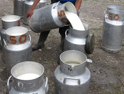 Leite: produtores pressionam Governo 5 Produtores de leite pressionam Governo