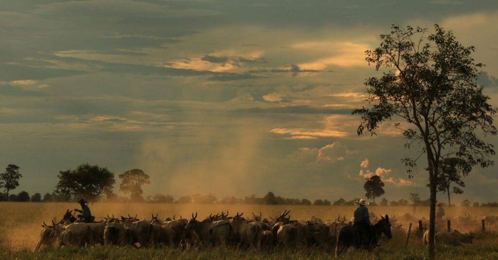 Marco temporal: saiba os impactos dos vetos presidenciais no Projeto de Lei