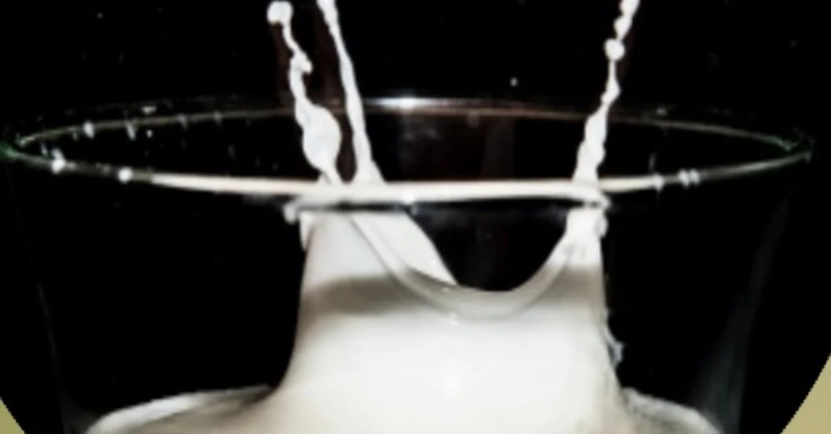 precos lacteos gdt estaveis 1