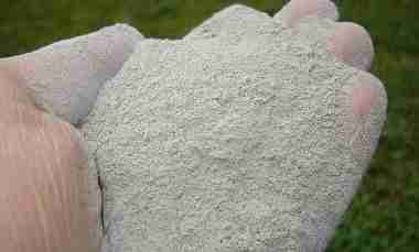 Logo-Portal-Agriconline-22