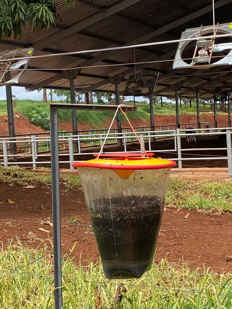 Técnicas para evitar perdas na fazenda