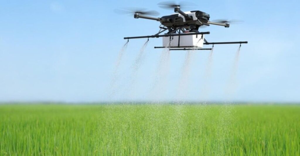 pastagem Plantas Daninhas