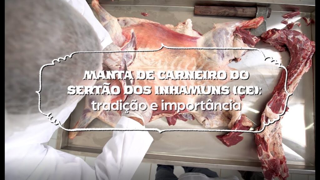 Manta de carneiro dos Inhamuns: tradição e importância 2 carneiro