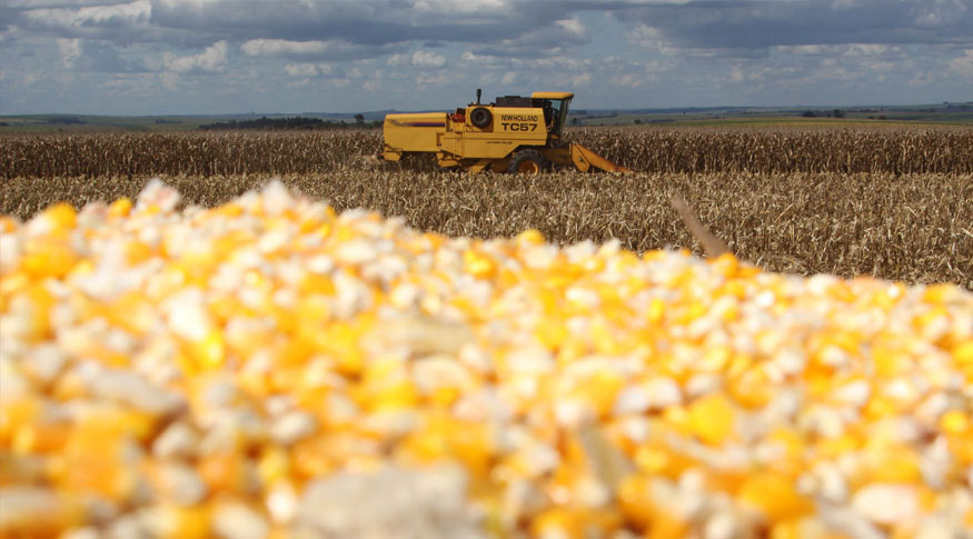 2024: Safra terá redução de 3,2%