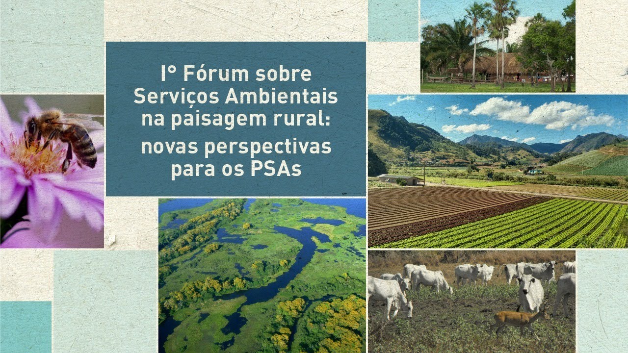 2o dia do i forum sobre servicos ambientais na paisagem rural novas perspectivas para os psas