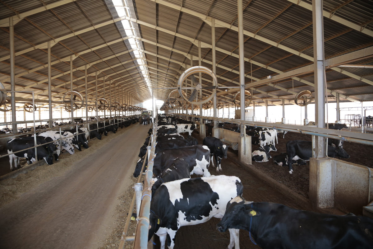 5 estratégias para melhorar qualidade do produto