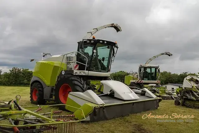 6 dicas para escolher sacos para silagem 2 Silagem