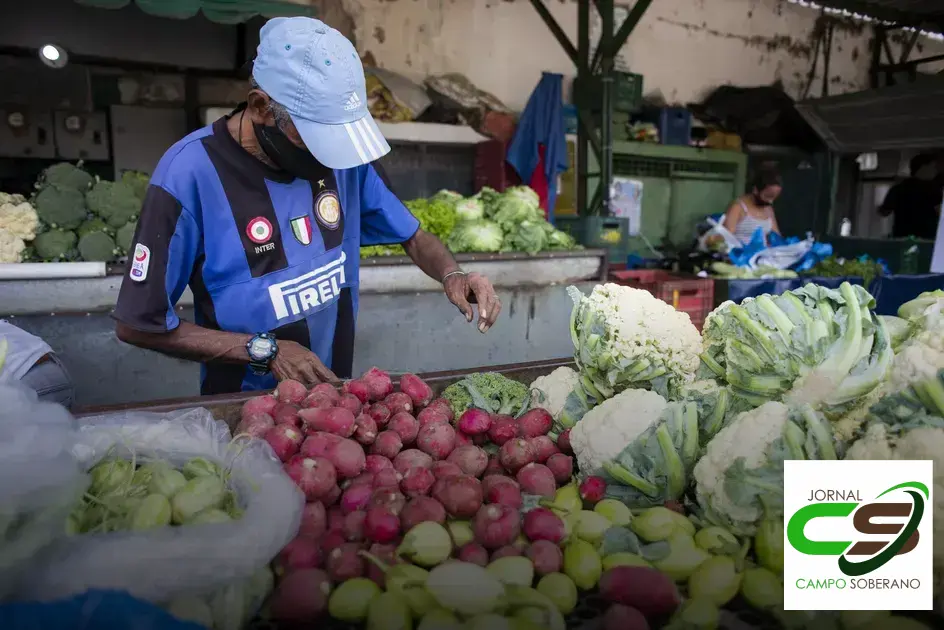 6 dicas para garantir uma safra de frutas de sucesso na Ceasa e impulsionar a agricultura e o abastecimento de alimentos