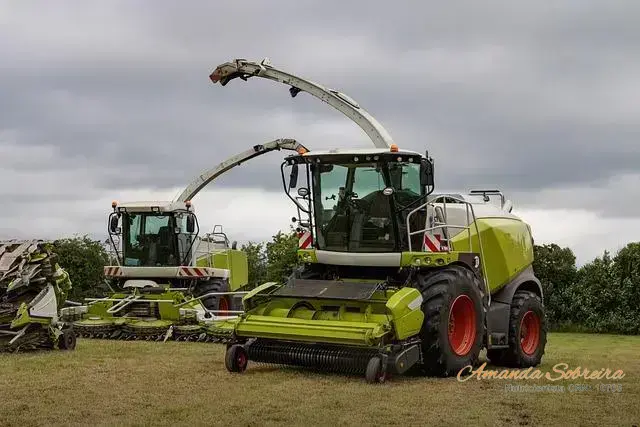 6 dicas para melhorar a qualidade da silagem de milho ensacada