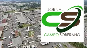 6 motivos para escolher a polpa de fruta fresca da Ceasa DF e garantir qualidade e sabor