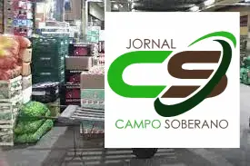 pneus ceasa contagem