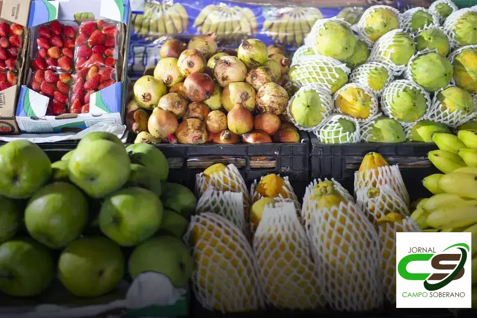 flores no ceasa sao paulo