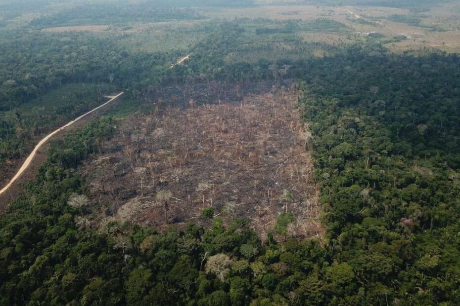 Agropecuária não vai entrar no mercado regulado de carbono tão cedo, diz CNA