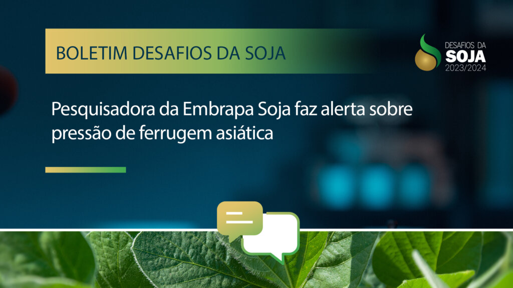 Alerta para Ferrugem Asiática - Entrevista com Claudia Godoy