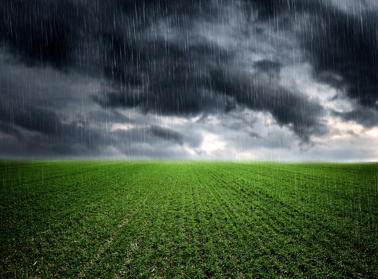 Aumento da umidade com chuva no interior