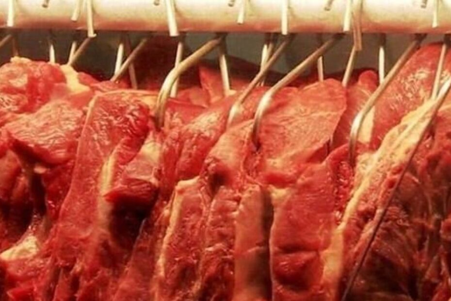 consumo de carne bovina e de frango deve aumentar em 2024