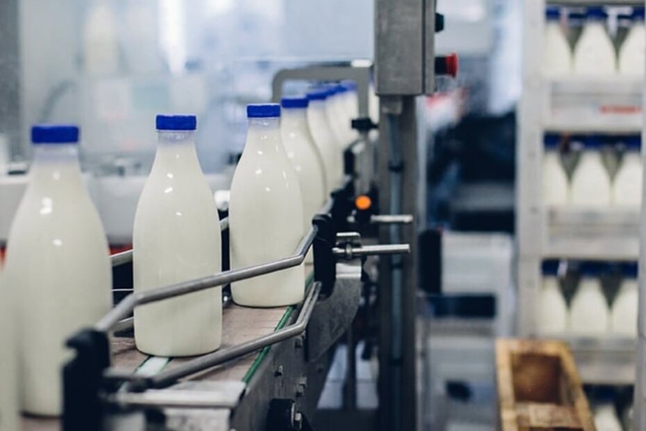 CMN aprova nova linha de crédito para cooperativas de leite