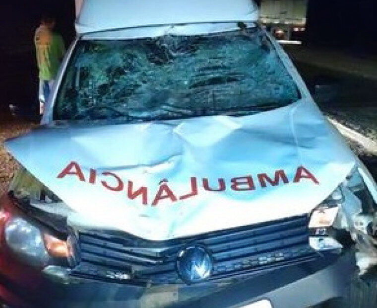 Cavalo em rodovia causa acidente e ambulância de município do Bico fica destruída