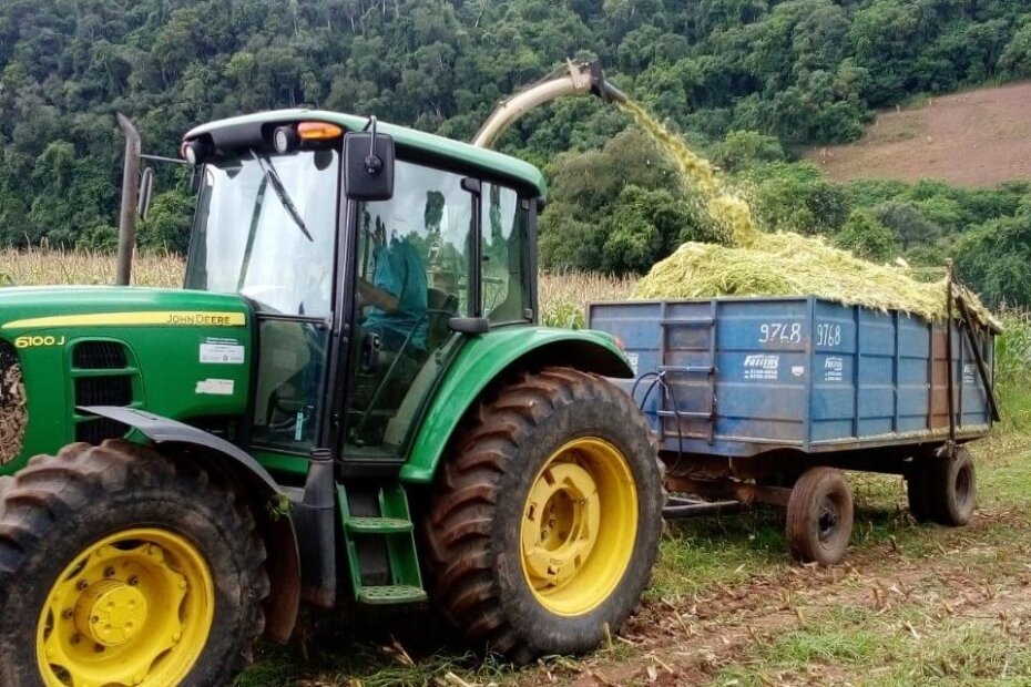 Secretaria de Agricultura de Estrela Velha inicia produção de silagem