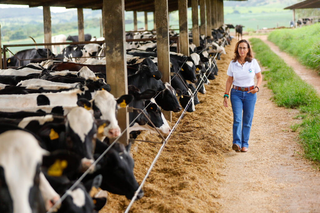 Propriedade em Luziânia (GO) alcança eficiência na gestão e sanidade do rebanho