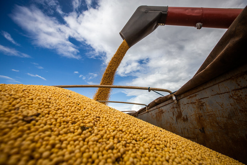 Produção de grãos deve ter queda de 3,2%, diz IBGE - A Gazeta News
